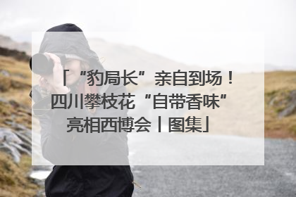 “豹局长”亲自到场！四川攀枝花“自带香味”亮相西博会丨图集