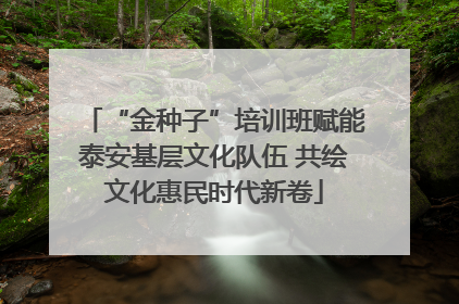 “金种子”培训班赋能泰安基层文化队伍 共绘文化惠民时代新卷