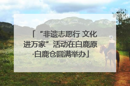 “非遗志愿行 文化进万家”活动在白鹿原·白鹿仓圆满举办