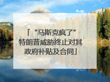 “马斯克疯了” 特朗普威胁终止对其政府补贴及合同