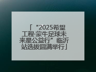 “2025希望工程·蒙牛足球未来星公益行”临沂站选拔圆满举行