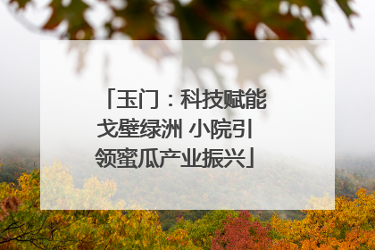 玉门：科技赋能戈壁绿洲 小院引领蜜瓜产业振兴