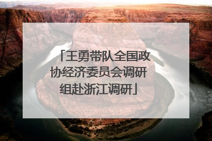 王勇带队全国政协经济委员会调研组赴浙江调研