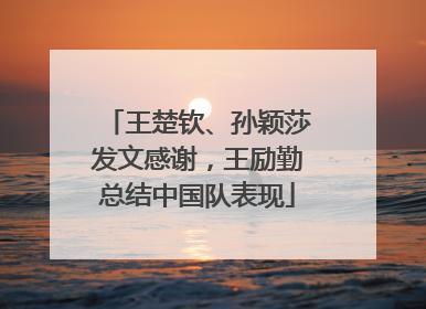 王楚钦、孙颖莎发文感谢，王励勤总结中国队表现
