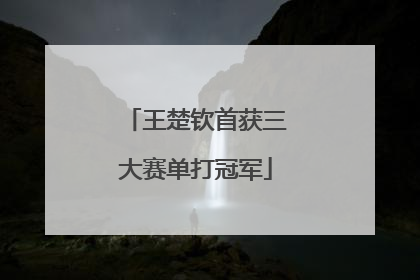 王楚钦首获三大赛单打冠军