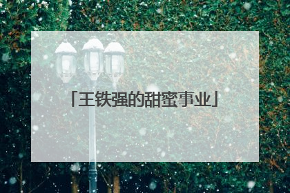 王铁强的甜蜜事业