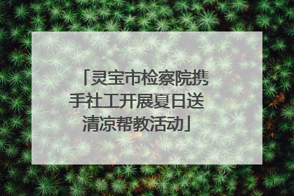 灵宝市检察院携手社工开展夏日送清凉帮教活动