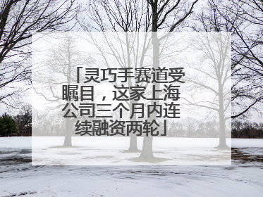 灵巧手赛道受瞩目，这家上海公司三个月内连续融资两轮