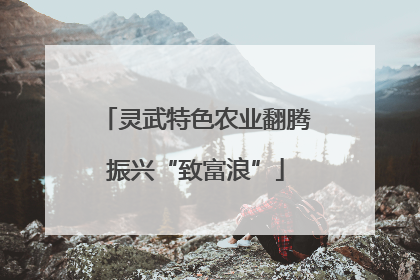 灵武特色农业翻腾振兴“致富浪”