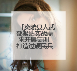 炎陵县人武部紧贴实战需求开展集训 打造过硬民兵队伍