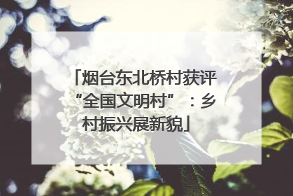 烟台东北桥村获评“全国文明村”：乡村振兴展新貌
