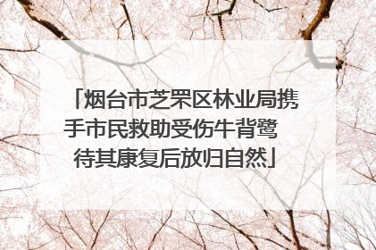 烟台市芝罘区林业局携手市民救助受伤牛背鹭 待其康复后放归自然