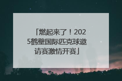 燃起来了！2025鹤壁国际匹克球邀请赛激情开赛
