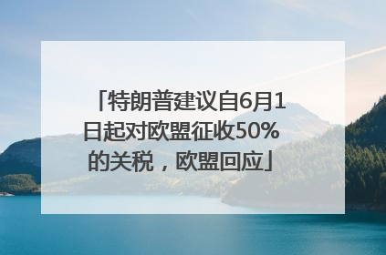 特朗普建议自6月1日起对欧盟征收50%的关税，欧盟回应