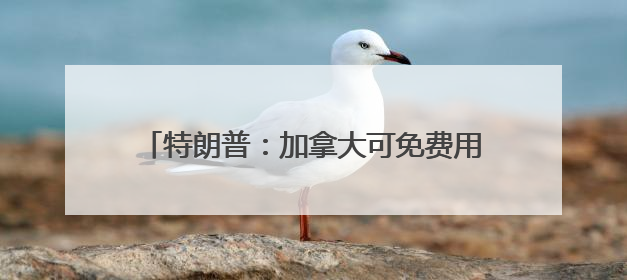 特朗普：加拿大可免费用“金穹”，但有个条件