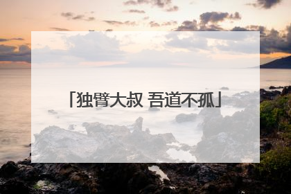 独臂大叔 吾道不孤