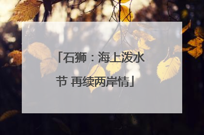石狮：海上泼水节 再续两岸情