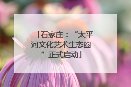 石家庄：“太平河文化艺术生态圈”正式启动