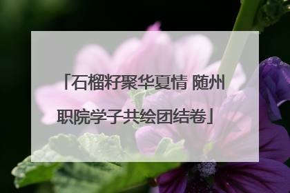 石榴籽聚华夏情 随州职院学子共绘团结卷