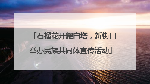 石榴花开耀白塔，新街口举办民族共同体宣传活动