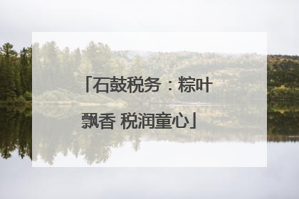 石鼓税务：粽叶飘香 税润童心