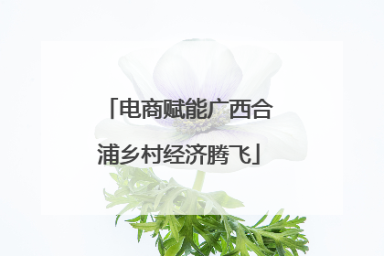 电商赋能广西合浦乡村经济腾飞