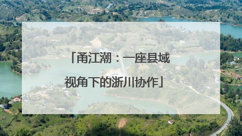 甬江潮：一座县域视角下的浙川协作