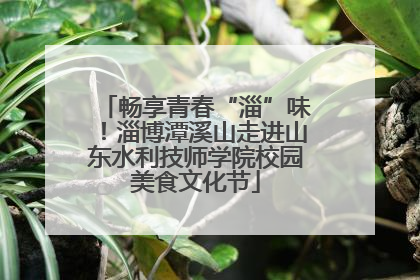 畅享青春“淄”味！淄博潭溪山走进山东水利技师学院校园美食文化节