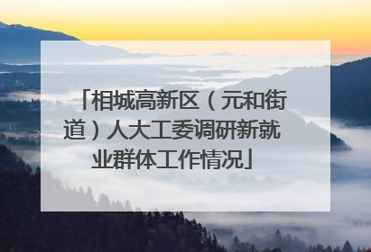 相城高新区（元和街道）人大工委调研新就业群体工作情况