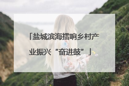 盐城滨海擂响乡村产业振兴“奋进鼓”