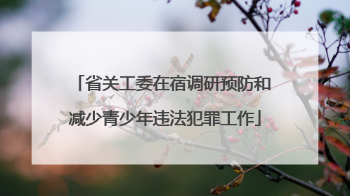 省关工委在宿调研预防和减少青少年违法犯罪工作