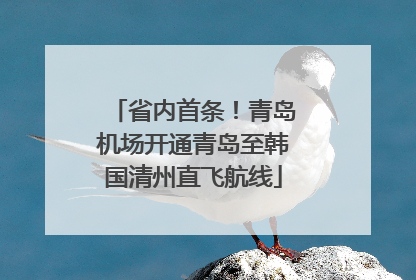 省内首条！青岛机场开通青岛至韩国清州直飞航线