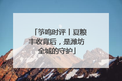 筝鸣时评丨夏粮丰收背后，是潍坊全城的守护