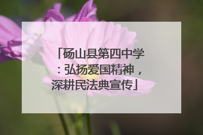 砀山县第四中学：弘扬爱国精神，深耕民法典宣传