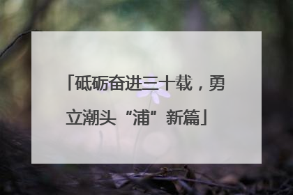 砥砺奋进三十载，勇立潮头“浦”新篇