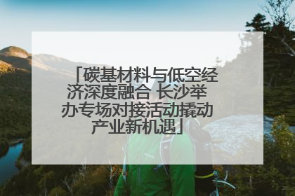 碳基材料与低空经济深度融合 长沙举办专场对接活动撬动产业新机遇