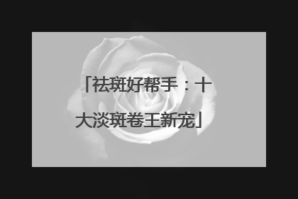 祛斑好帮手：十大淡斑卷王新宠
