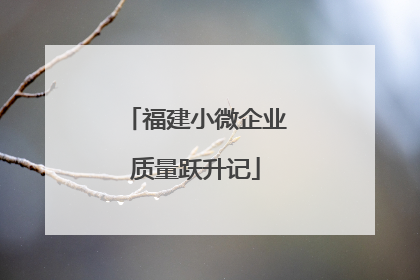 福建小微企业质量跃升记