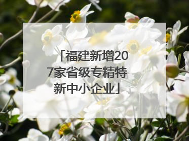福建新增207家省级专精特新中小企业