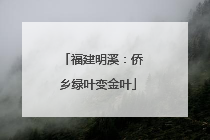 福建明溪：侨乡绿叶变金叶