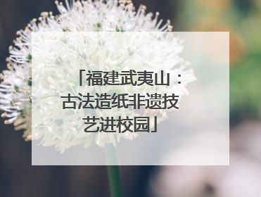 福建武夷山：古法造纸非遗技艺进校园