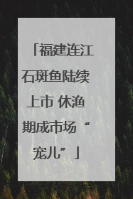 福建连江石斑鱼陆续上市 休渔期成市场“宠儿”