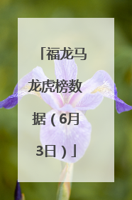 福龙马龙虎榜数据（6月3日）