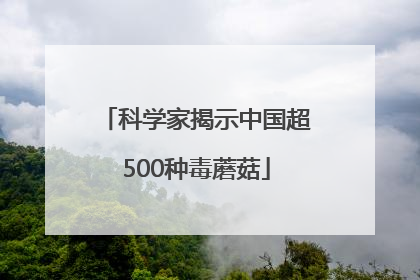 科学家揭示中国超500种毒蘑菇