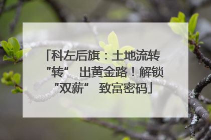 科左后旗：土地流转 “转” 出黄金路！解锁 “双薪” 致富密码