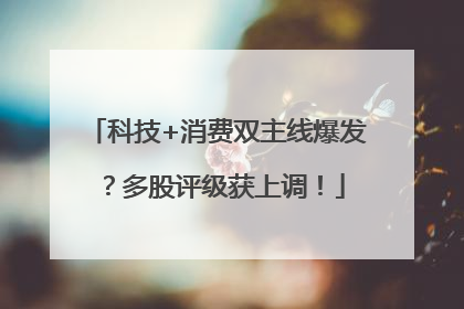 科技+消费双主线爆发？多股评级获上调！