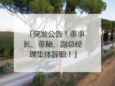 突发公告！董事长、董秘、副总经理集体辞职！