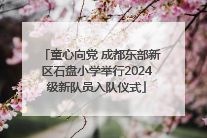 童心向党 成都东部新区石盘小学举行2024级新队员入队仪式