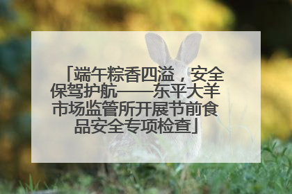 端午粽香四溢，安全保驾护航——东平大羊市场监管所开展节前食品安全专项检查