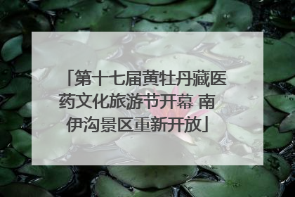 第十七届黄牡丹藏医药文化旅游节开幕 南伊沟景区重新开放